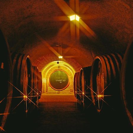 Grape&Wine Guesthouse إغير المظهر الخارجي الصورة